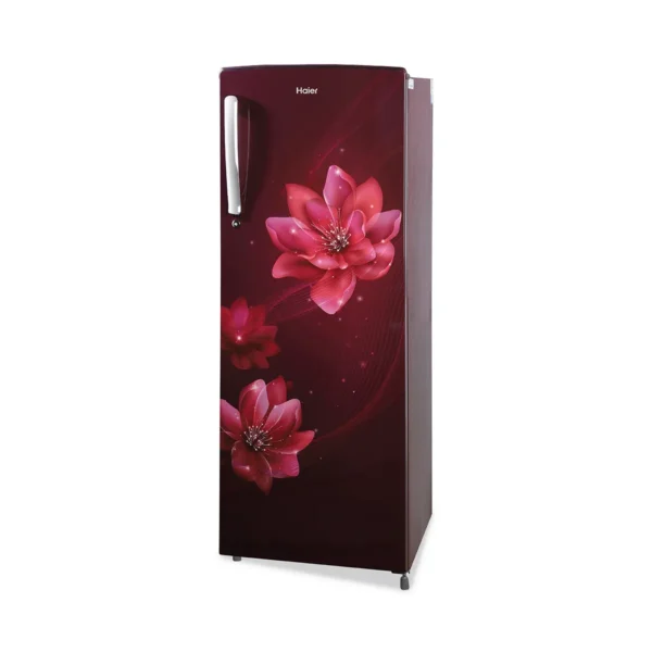 HAIER-REF HRD2052CRP - Image 2