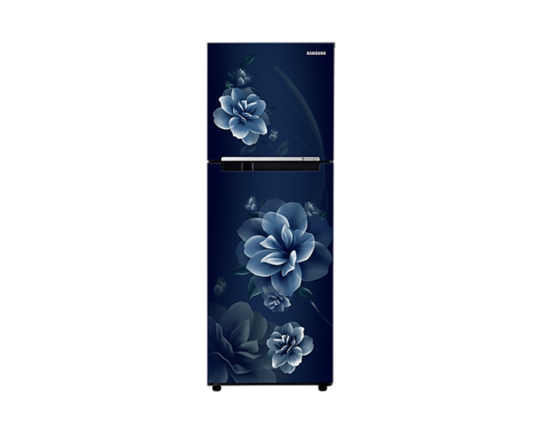 SAMSUNG-REF RT28C3022CU